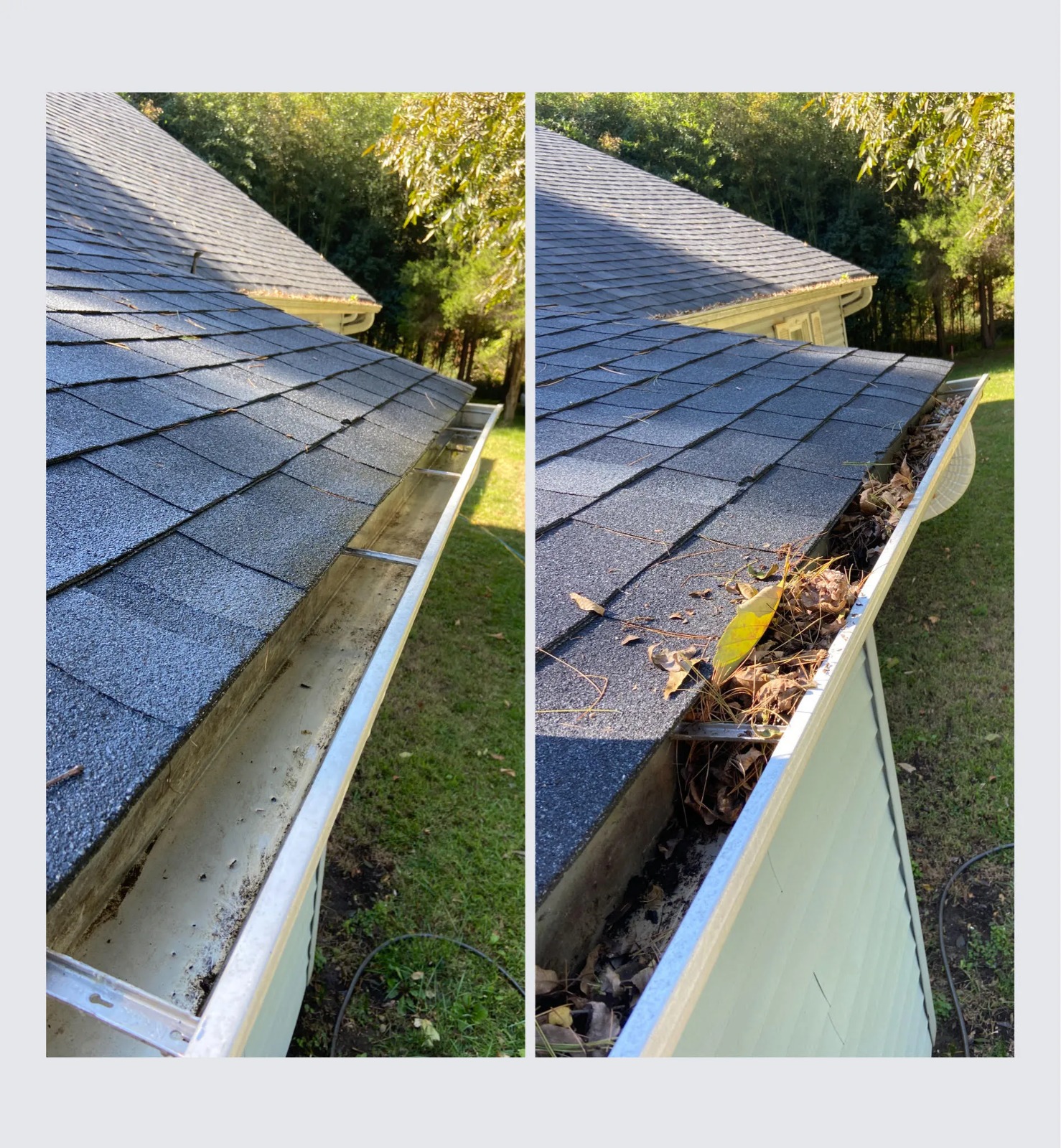 Downspout & Trough Cleaning