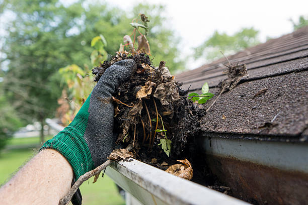 Friendly downspout cleaning technician